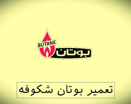 نمایندگی بوتان شکوفه